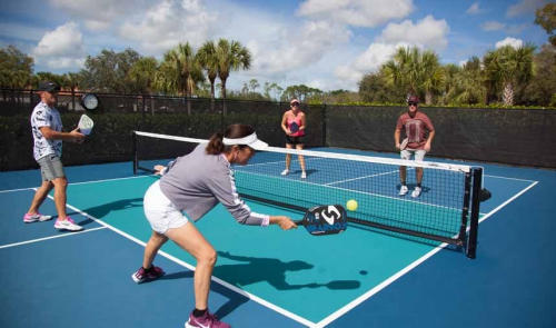 Xu hướng bùng nổ sân chơi pickleball